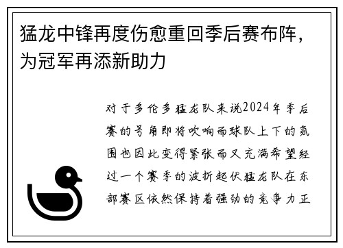猛龙中锋再度伤愈重回季后赛布阵，为冠军再添新助力