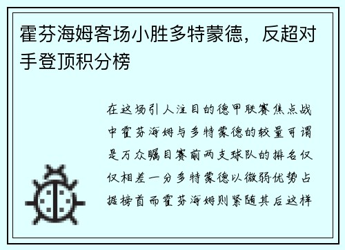 霍芬海姆客场小胜多特蒙德，反超对手登顶积分榜