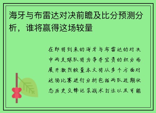海牙与布雷达对决前瞻及比分预测分析，谁将赢得这场较量