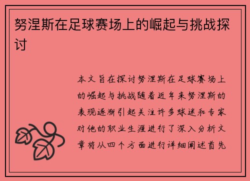 努涅斯在足球赛场上的崛起与挑战探讨