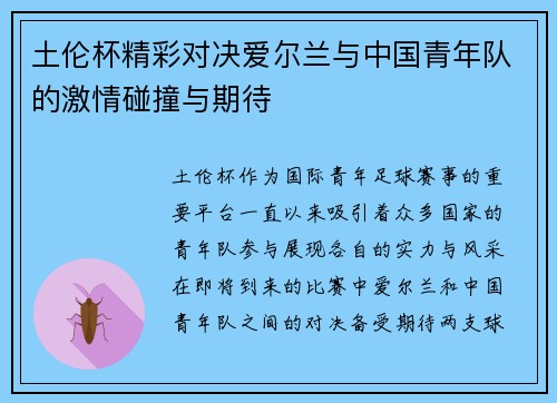 土伦杯精彩对决爱尔兰与中国青年队的激情碰撞与期待