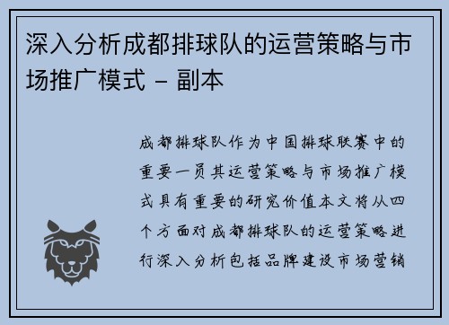 深入分析成都排球队的运营策略与市场推广模式 - 副本
